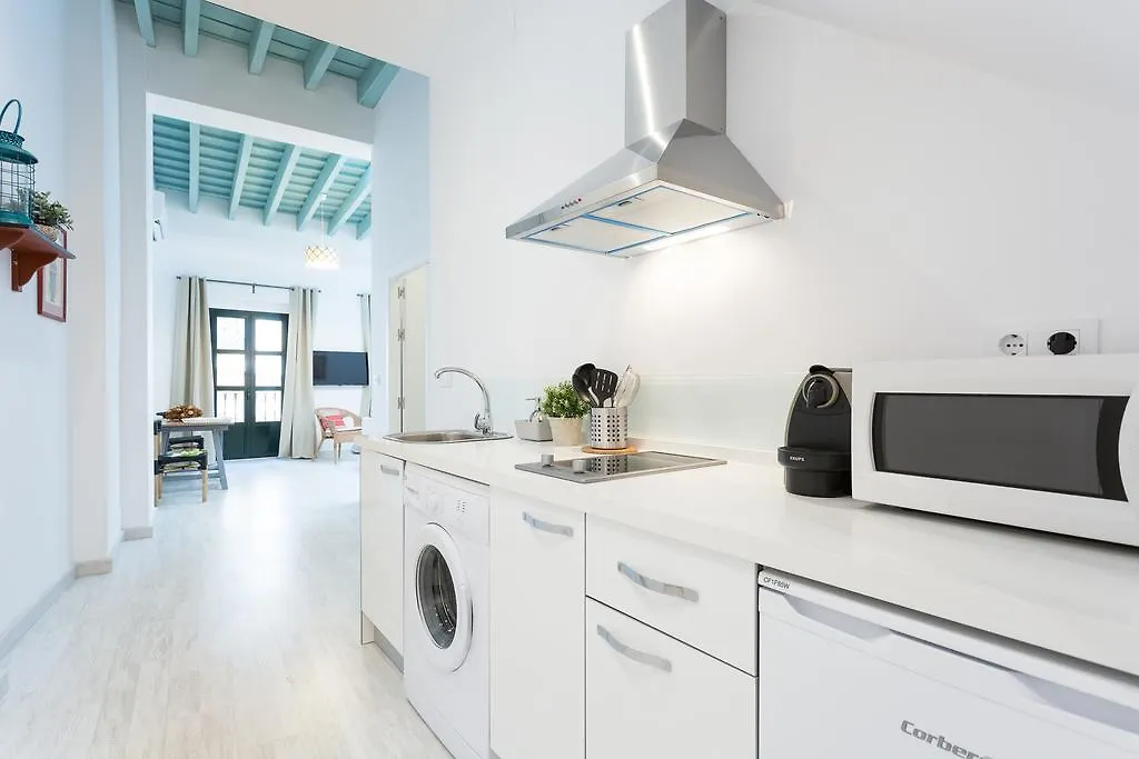 Apartments Ole - Cerrajeria Seville