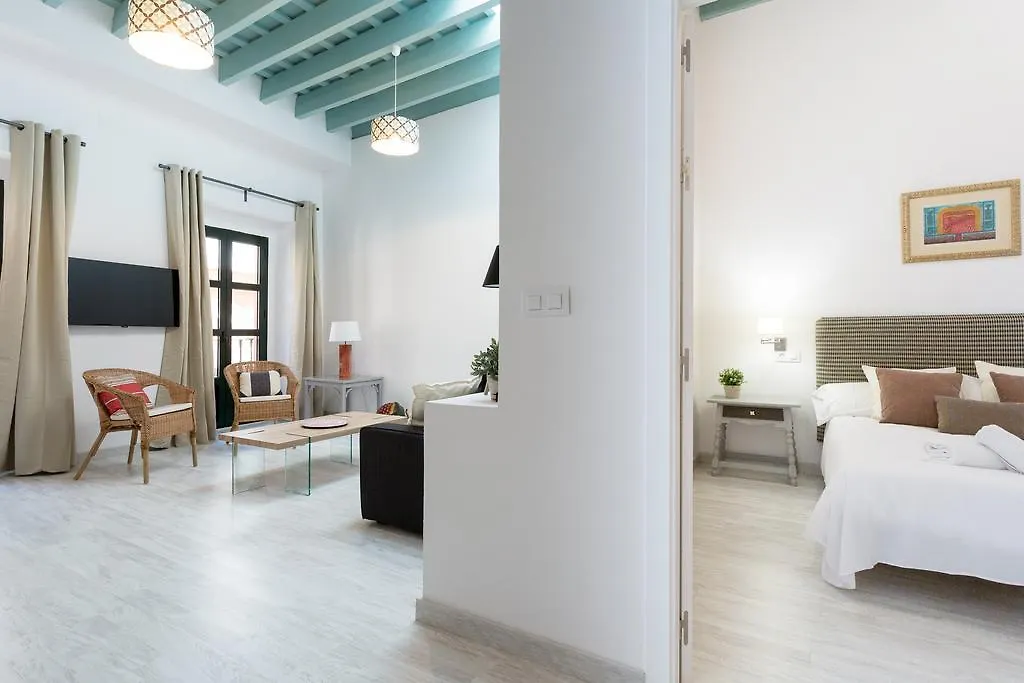 Apartments Ole - Cerrajeria Seville 0*,  Spain