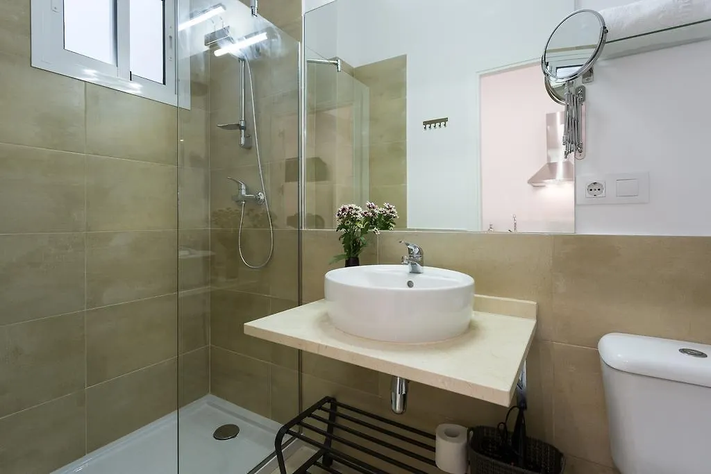 Apartments Ole - Cerrajeria Seville 0*,